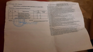 Блинница двойная профессиональная